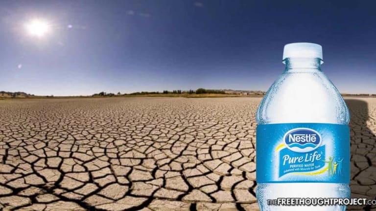 Nestlé Caught Stealing Billions of Gallons of Water from California—No One Arrested
