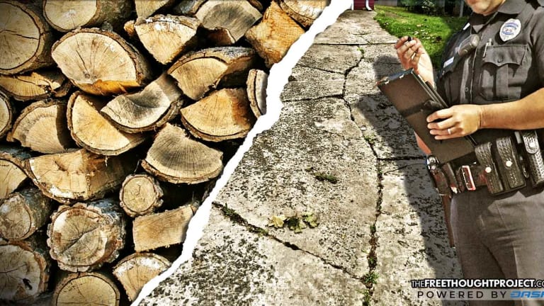 Citizens Fight Back as City Fines & Arrests Them for Cracked Driveways, Improperly Stacked Firewood