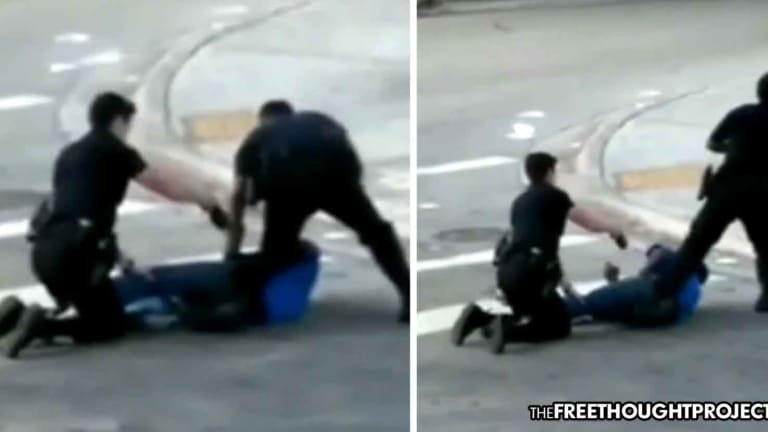 WATCH: While Trying to Taser Man on the Ground, Cop Hits Her Partner Instead—Dropping Him