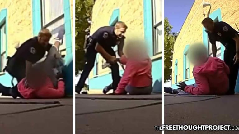 WATCH: Cop Beats Up 11yo Special Needs Girl, Claims 'She Was Stronger than Me' — NO JAIL