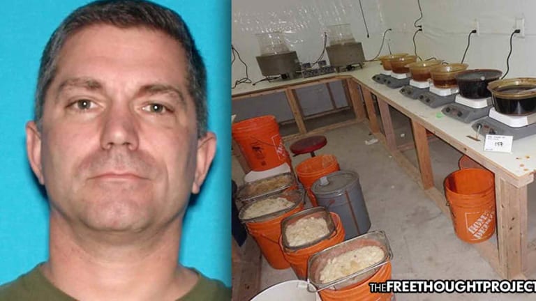 While Arresting Cop for Domestic Violence, Police Find He's Running a Meth Lab Too