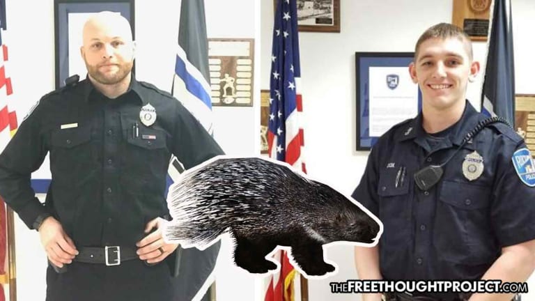 Cops Jailed for Beating a Dozen Porcupines to Death With Batons On Duty, Filming It for Fun