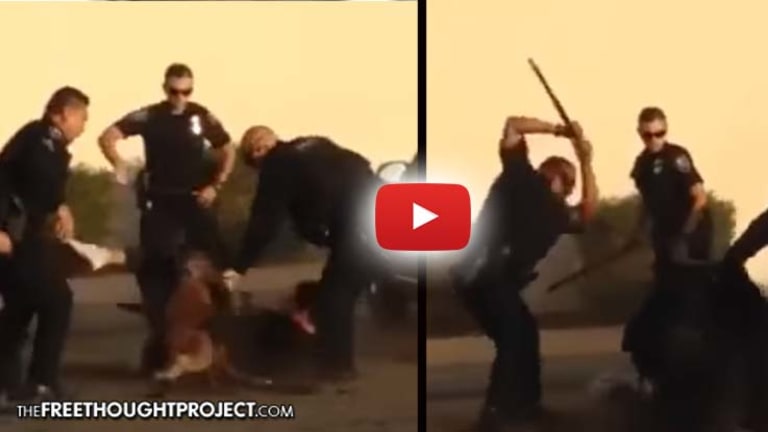 Graphic Video Shows a Half-Dozen Cops Pummel Man as Their K9 Tears Him Apart