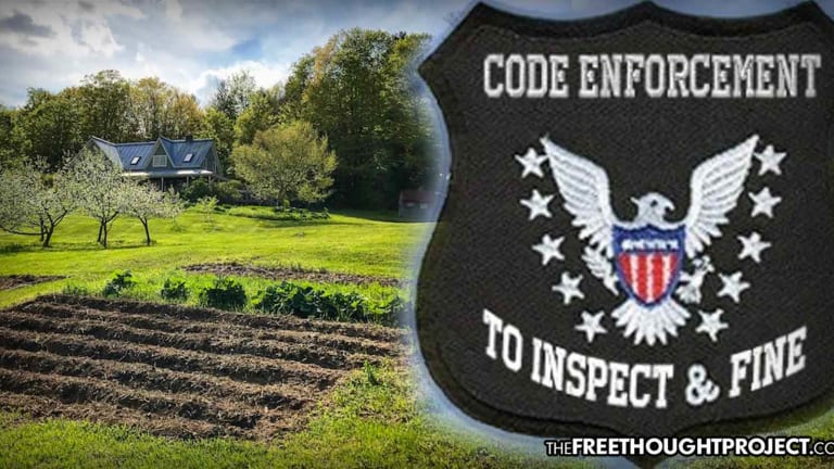 Homesteading Army Vet, Elderly Couple Face Eviction for Being Unable to Pay Predatory Code Enforcers