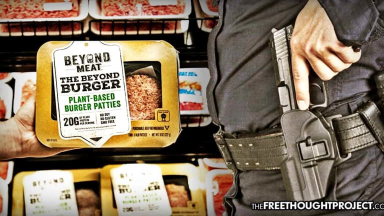 Beef Industry-Backed Laws Make it Illegal to Sell Plant-Based 'Meat' Products in US