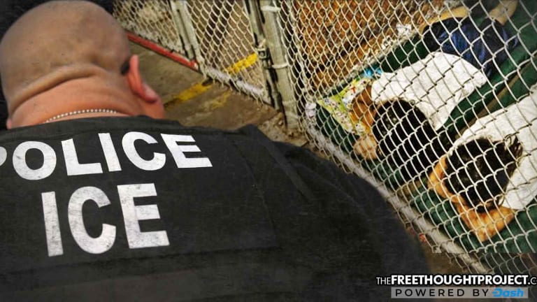 ICE Director Says Agency Can't Be Compared To Nazis, As They're 'Just Doing Their Jobs'—Seriously
