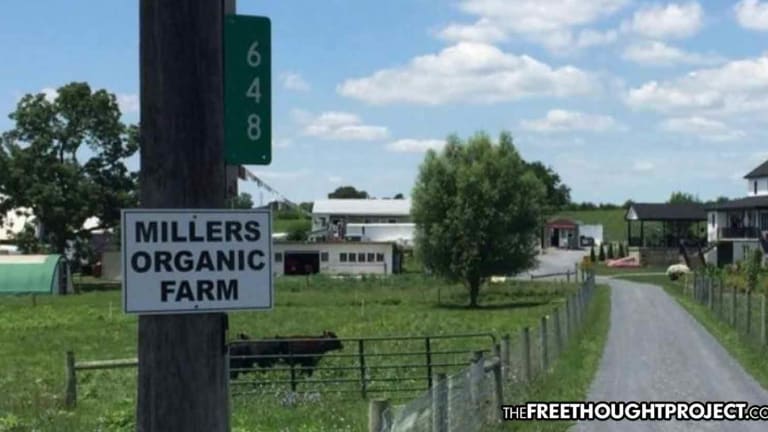 Amish Farm Fined $250K, Facing Jail Time for Humanely Raising and Selling Food to Willing Customers