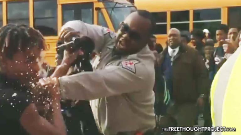 WATCH: School Cop Grabs Child by the Neck, Pepper Sprays Him Directly in the Face