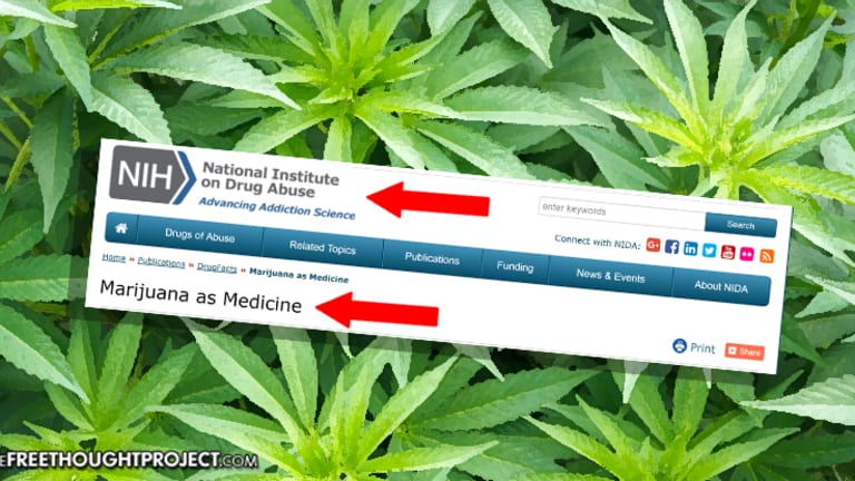 For the First Time Ever, the Federal Govt is Referring to Marijuana as Medicine