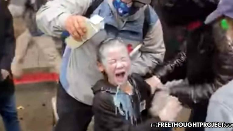 Police Pepper Spraying of 7-year-old Boy at Protest Ruled 'Lawful and Proper'