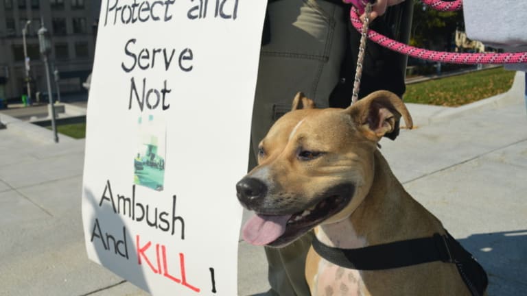 Dogs and Their Humans Gather Nationwide, Demanding Change to Stop Police From Killing Dogs