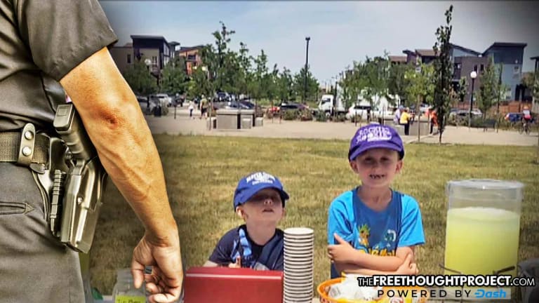 Cops Raid Little Boys' Lemonade Stand, Shut it Down for Not Having a Permit