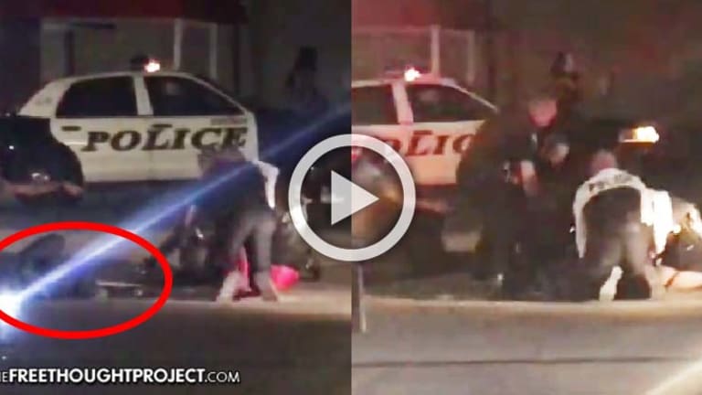 WATCH: Cop Allegedly Tasers Herself, Then 6 Cops 'Rodney King' a Man Lying Down