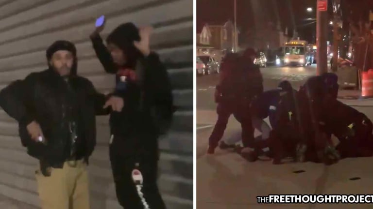 'I Never Thought It Would Happen to Me': Cop Stops Peaceful Man, Calls 10 More Cops to Pummel Him