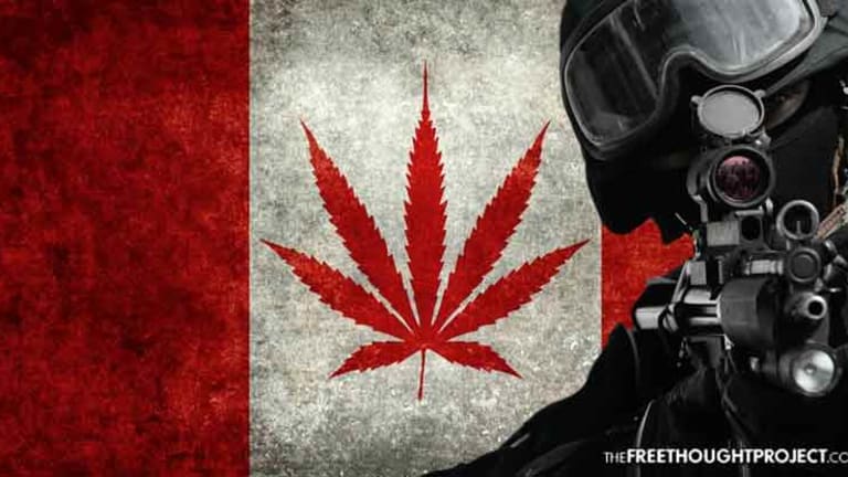 Canada's Pot Legalization Comes With a Hefty Dose of Police State - 10 Years in Prison for Driving High