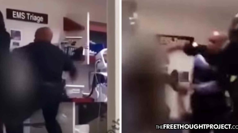 Horrifying Video Shows Detroit Cop Savagely Beating a Naked Mentally Ill Woman