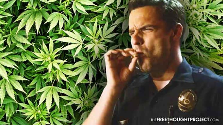 Cannabis Use in US So High, Police Depts Now Allow Recent Potheads to Be Cops
