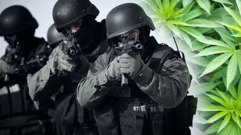 US Government Admits Marijuana Kills Cancer Cells, But they Still Kidnap, Cage, and Kill You For It