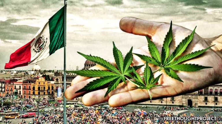 Mexico Just Legalized Medical Pot Nationwide Exposing America's Oppression