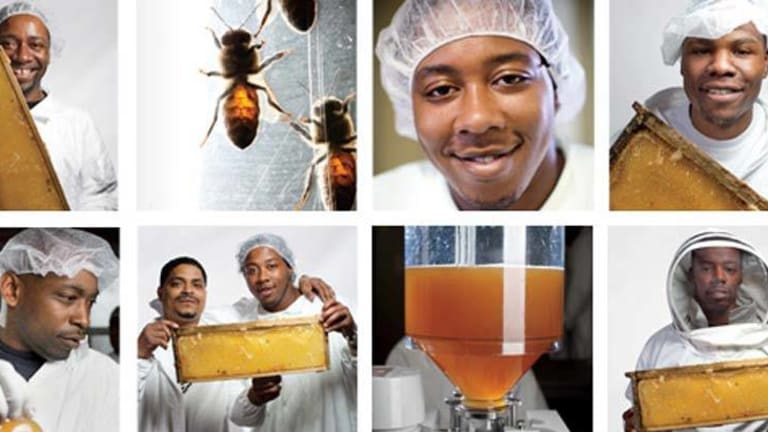 Entrepreneur Puts Prisons to Shame, Turns Ex-Cons into Bee-Keepers - Keeping them Out of Jail
