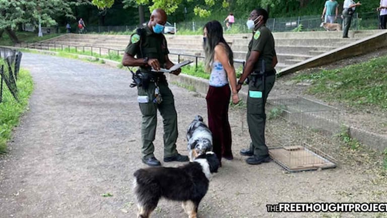 As Violent Crime Surges in New York, Cops Arrest, Jail Woman for Improperly Walking Her Dogs
