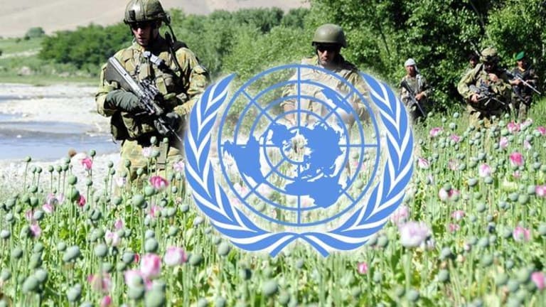 Passing Up a Chance to Crush Corruption and Abuse, the UN Just Sided with Drug Cartels Instead
