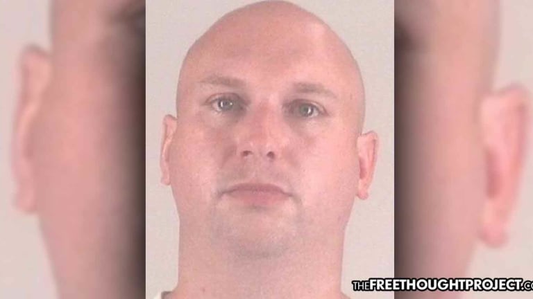 High Ranking Cop Admits to Running 'Sadistic' Child Porn Ring on Gov't Network, While On Duty