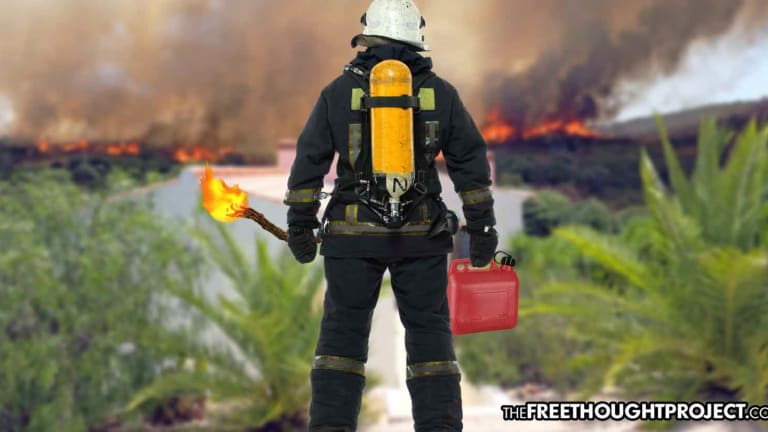 Firefighter Let Out of Jail Despite 'Serious Sex Offenses' Arrested for Starting 17 Fires in Australia