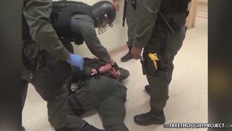 Insane Video Shows Cops Attack Fellow Cop, Handcuff, Shackle, Taser Him—for Being Sick