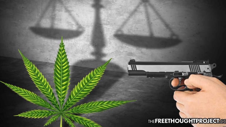 Drug War-Addicted Cops Suing to Overturn Vote That Legalized Cannabis in South Dakota