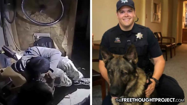 DA Refuses to Charge Cop Who Forced Dog to Maul Innocent Sleeping Man in His Own Home
