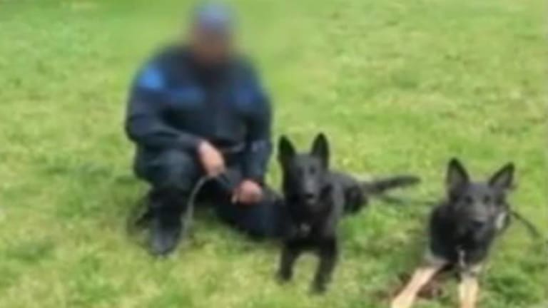 Black Cop Blows Whistle on Racism in Dept After White Cop Killed his 2 K-9s and Wasn't Fired