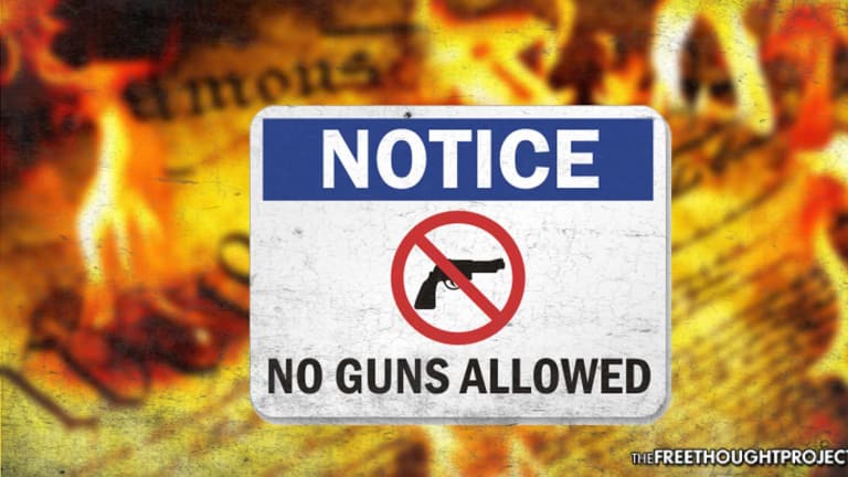Time to Pay Attention, Court Rules Carrying Guns in Public 'NOT a Constitutional Right'