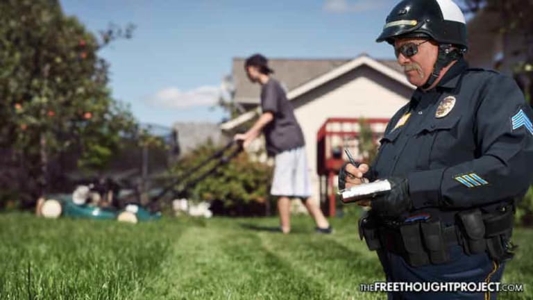 Children Now Face Fines & Arrest If They Don't Get a Permit to Mow Grass for Money