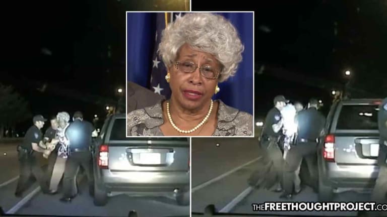 WATCH: Cops Violently Arrest Grandma, Drag Her from Car for Not Signing Ticket
