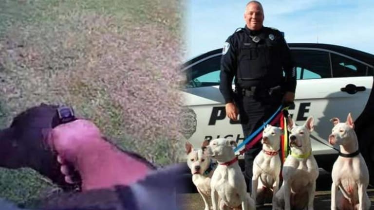 How an 8-Hour Course Transformed a Police Dept from Dog Killers to Dog Lovers