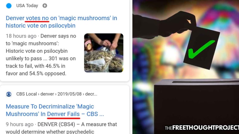 Mainstream Media Falsely Claims Vote to Decriminalize Magic Mushrooms Failed—It Passed