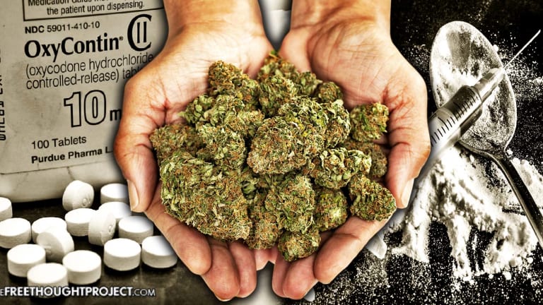 Mainstream Media Finally Admits Cannabis Can Curb Opioid Epidemic