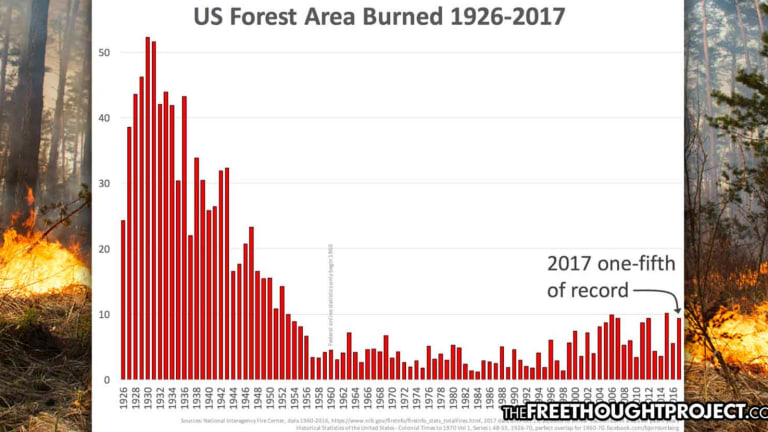 FACT CHECK: Forest Fires Aren’t at Historic Highs in the United States. Not Even Close