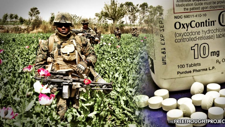 Russia Just Called Out US/NATO Role in Afghan Drug Trafficking — Media Silent