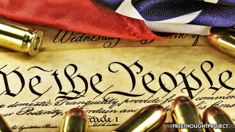 Federal Court Quietly Rules 'Assault Rifles' Not Protected by 2nd Amendment