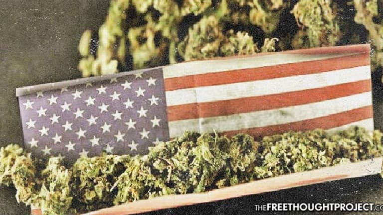 Landmark Bill Introduced in Congress Would Legalize Cannabis on Federal Level