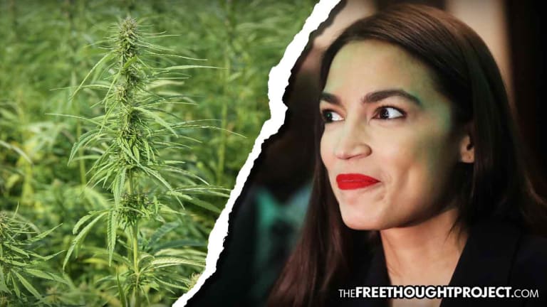 Forget AOC, America's Real "Green New Deal" is Hemp