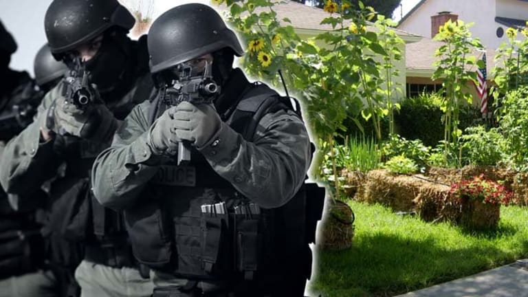 Govt Bans Growing Food, Forces Family to Destroy Front Yard Garden -- Now They're Fighting Back