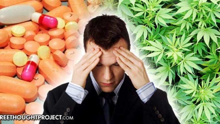Move Over Amphetamines — Cannabis Shown to Successfully Treat ADHD