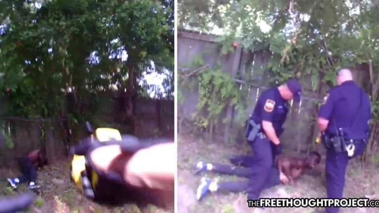 Cops Get a Year in Prison for Forcing Man to Run from Them, Taser Him from the Car Window