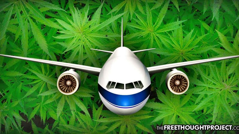 TSA Furious as LA Bucks the Feds by Allowing Citizens to Fly Out of State With Weed