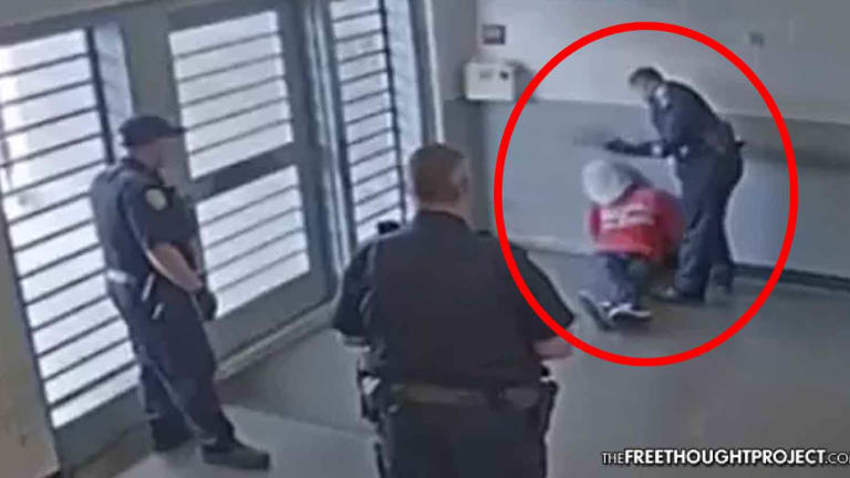 WATCH: Cop Smashes Handcuffed, Hooded Man's Face In As Fellow Officers Watch