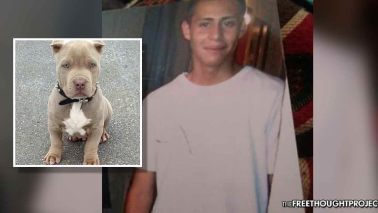 Cops Trying to Kill a Dog, Kill Innocent Boy Who Tried to Save It Instead