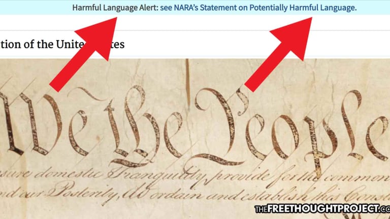Peak 2021 — US Gov't Labels the Constitution, Bill of Rights as 'Potentially Harmful Content'